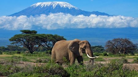 TANZANIA